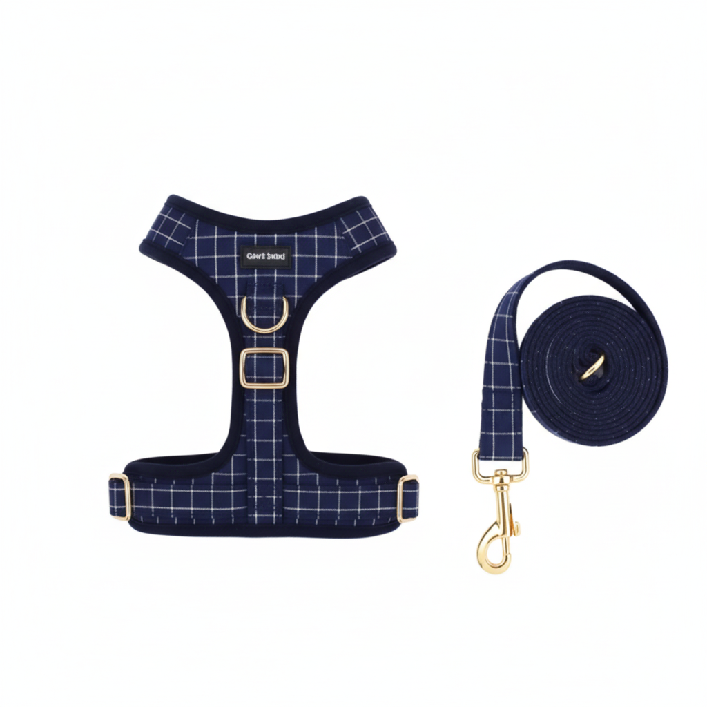 Harness & Lead Flat Lay